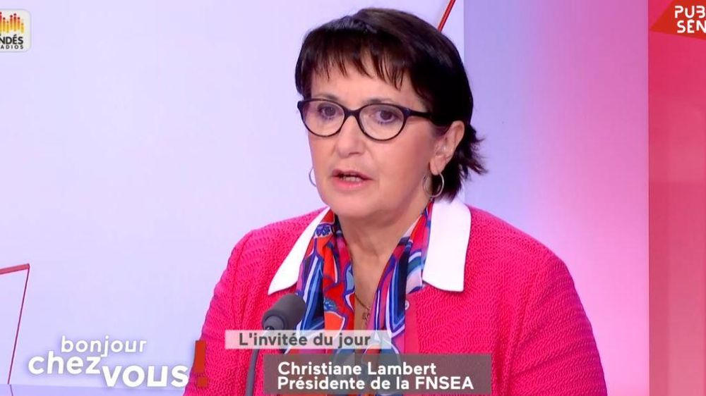 Christiane Lambert, la présidente de la FNSEA, martèle que Lubrizol doit indemniser les agriculteurs touchés par les restrictions imposées suite à l’incendie de l’usine de Rouen. © LCP-Public Sénat